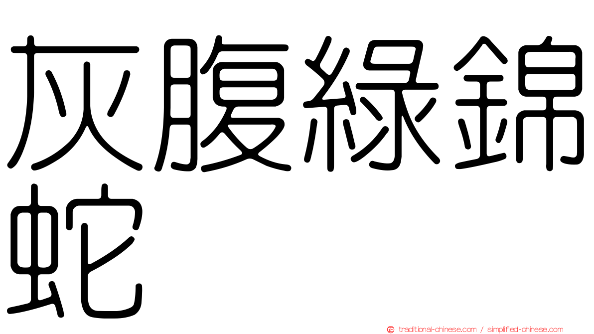 灰腹綠錦蛇