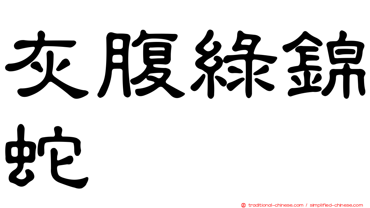灰腹綠錦蛇