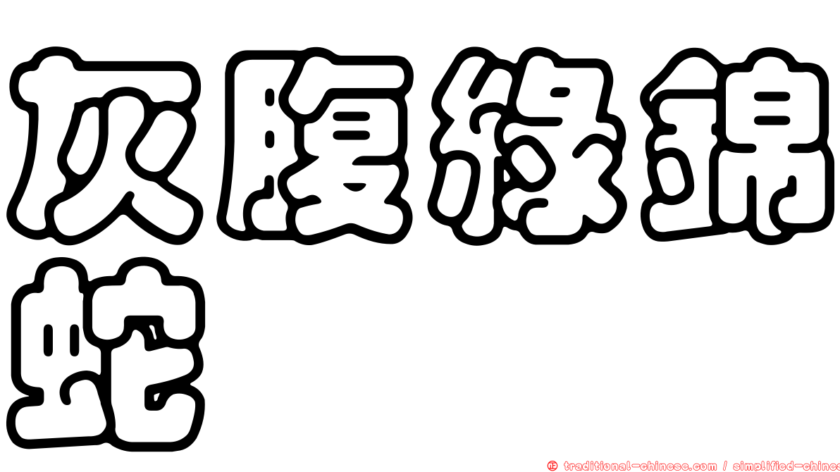 灰腹綠錦蛇