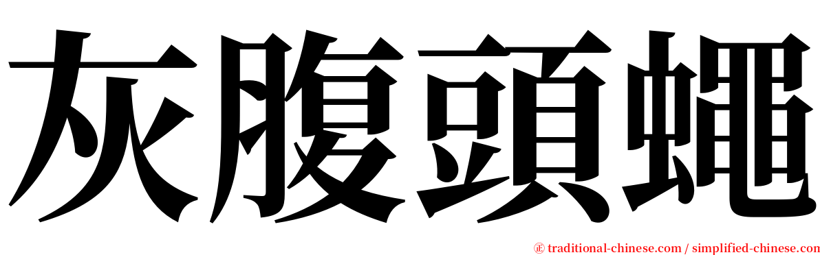 灰腹頭蠅 serif font