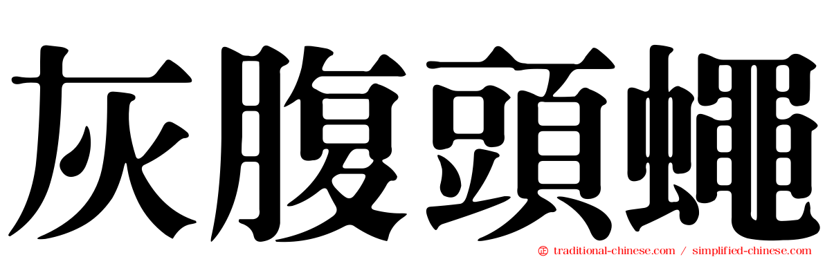 灰腹頭蠅