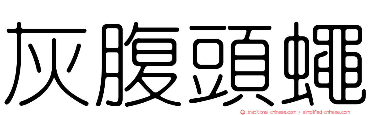 灰腹頭蠅