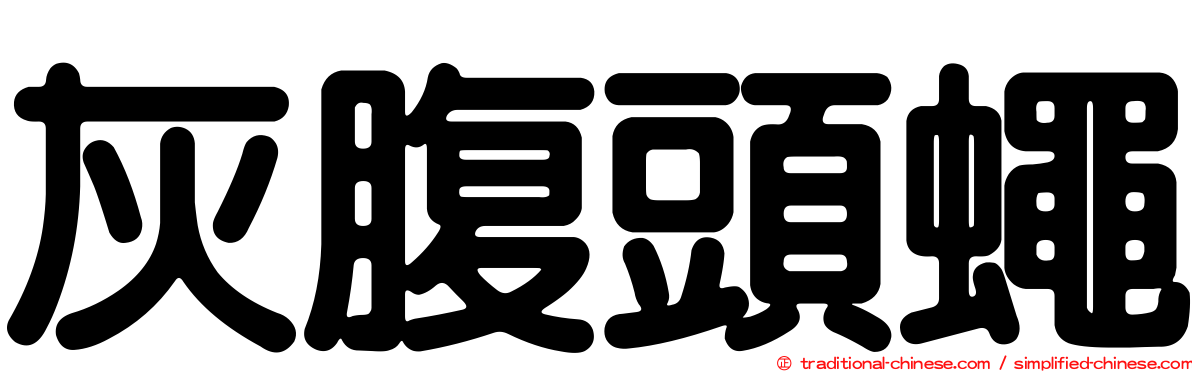 灰腹頭蠅