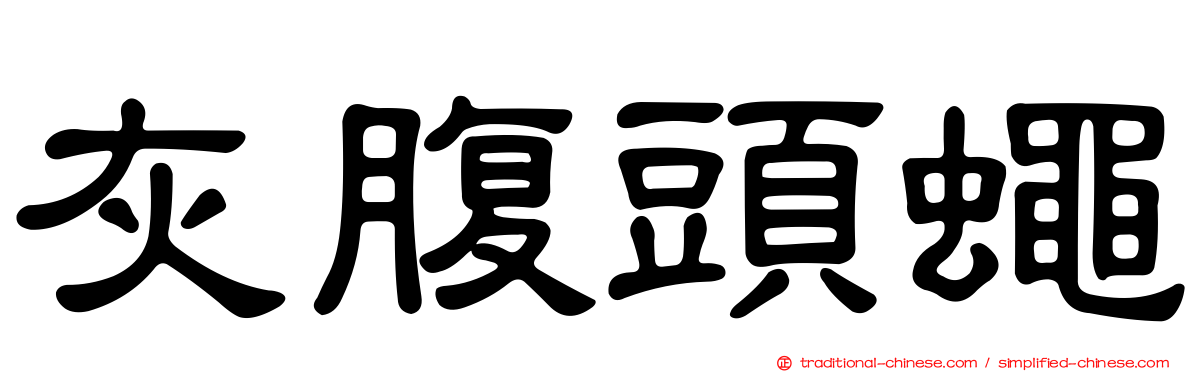 灰腹頭蠅