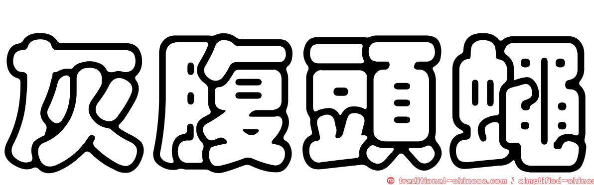 灰腹頭蠅