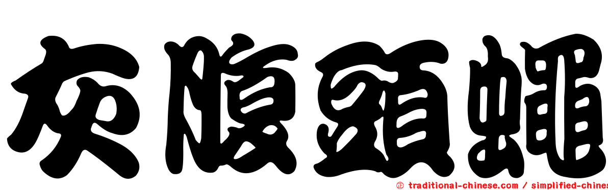 灰腹頭蠅