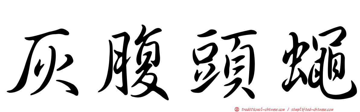 灰腹頭蠅
