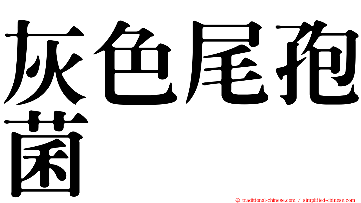 灰色尾孢菌
