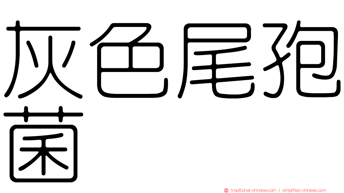 灰色尾孢菌