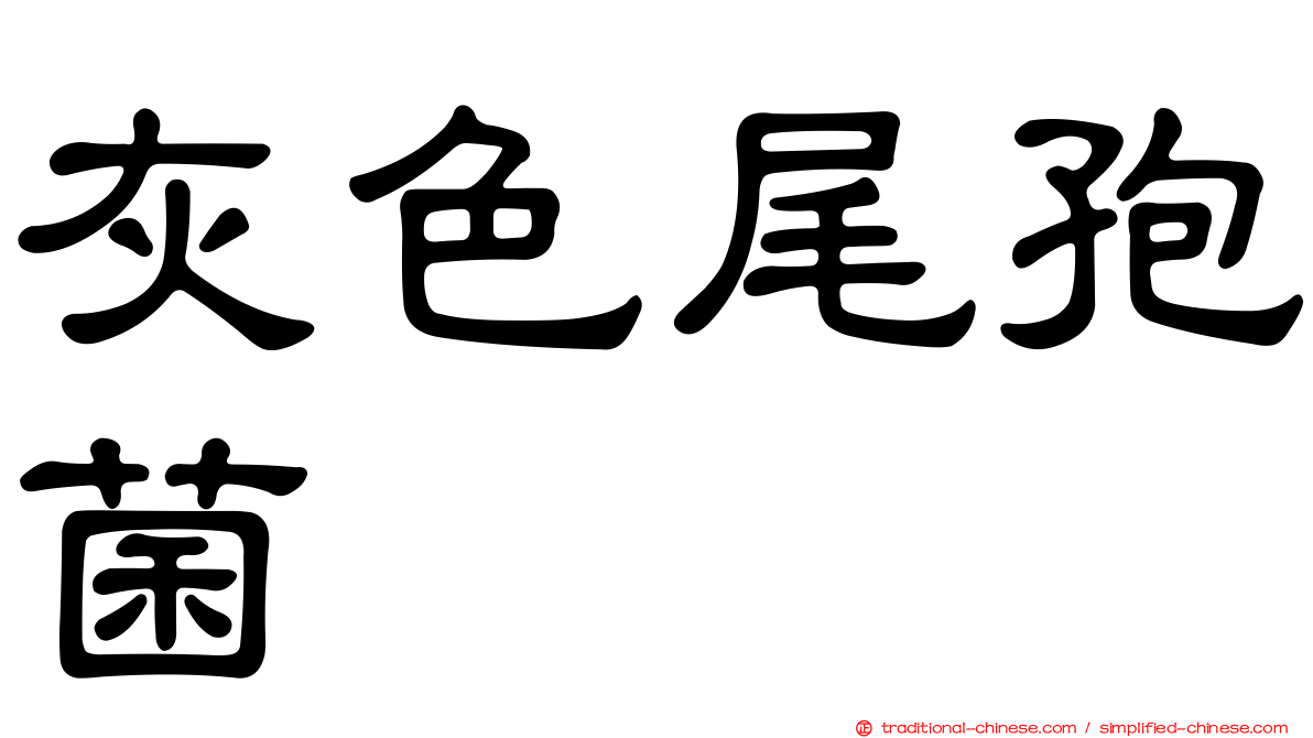 灰色尾孢菌