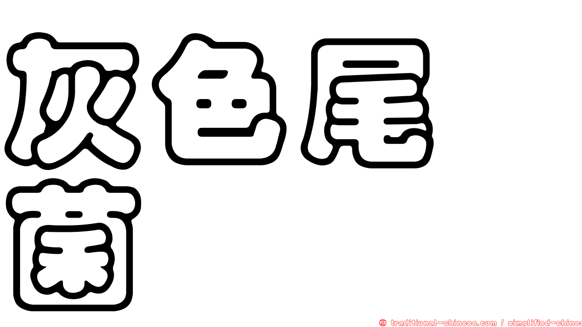 灰色尾孢菌