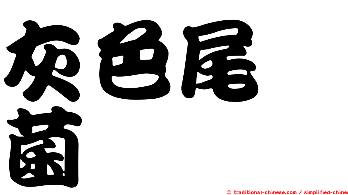 灰色尾孢菌