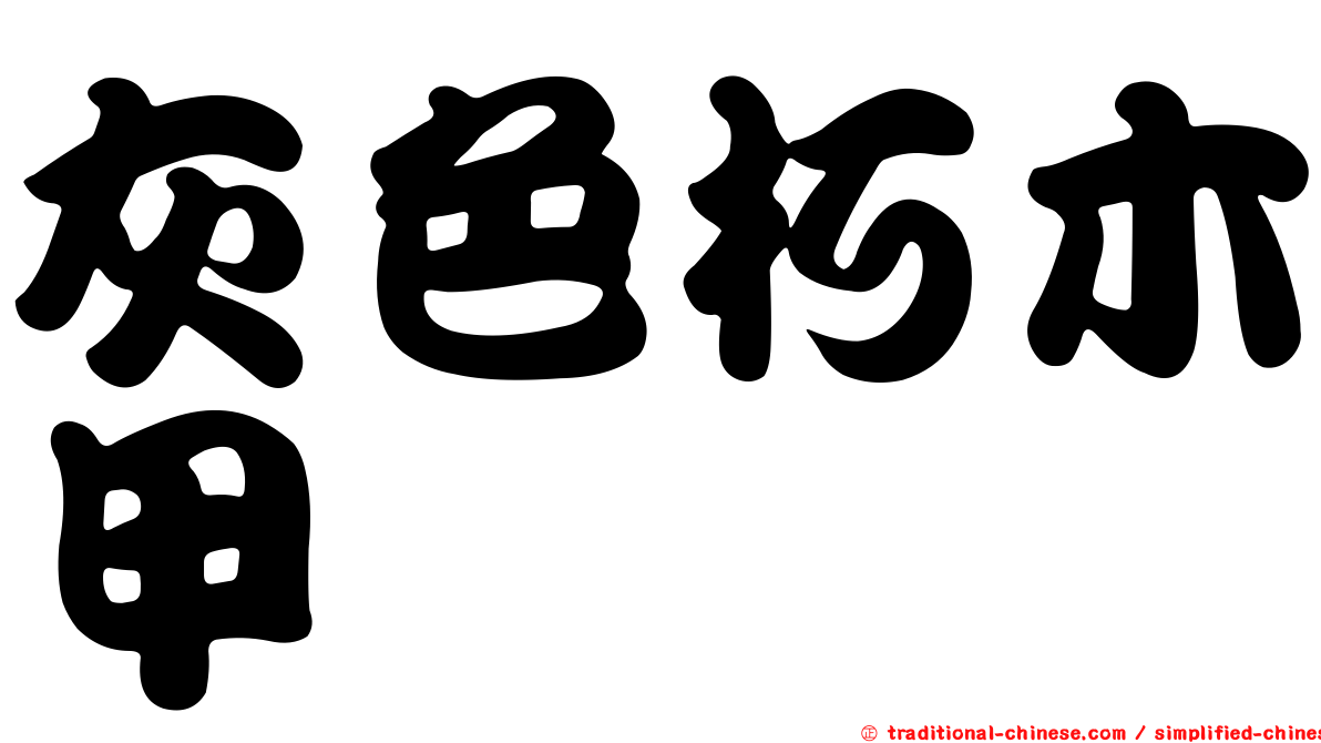 灰色朽木甲