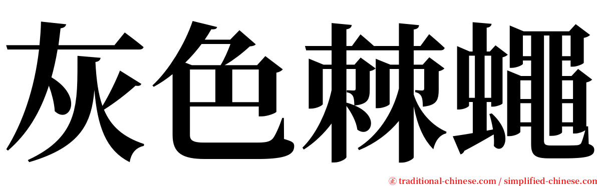 灰色棘蠅 serif font