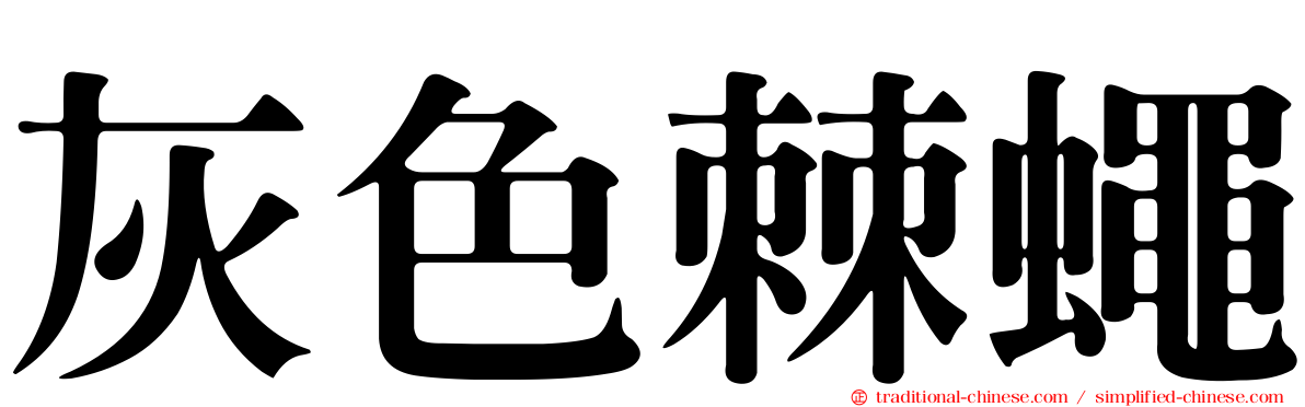 灰色棘蠅