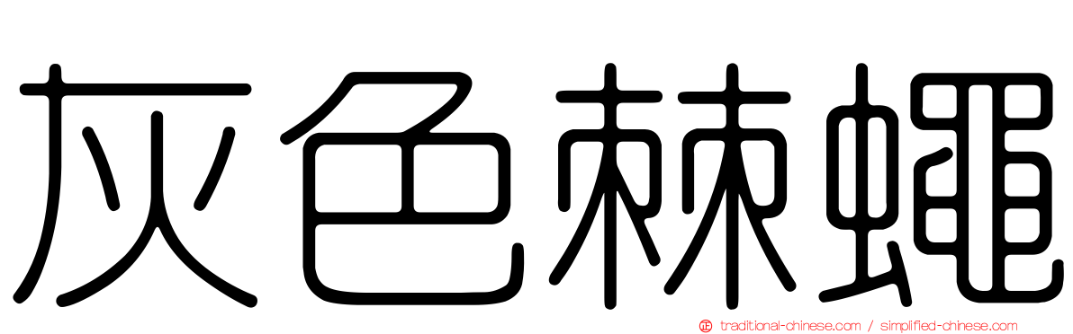 灰色棘蠅