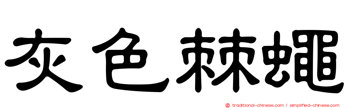 灰色棘蠅