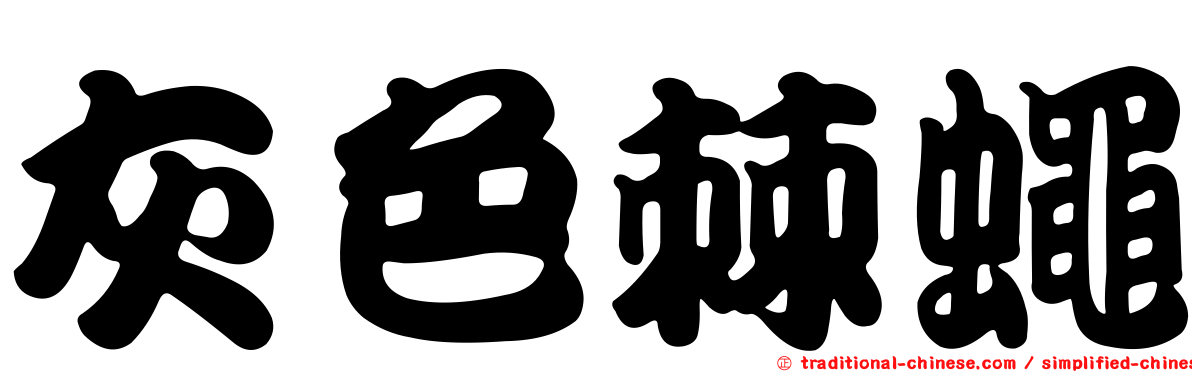 灰色棘蠅
