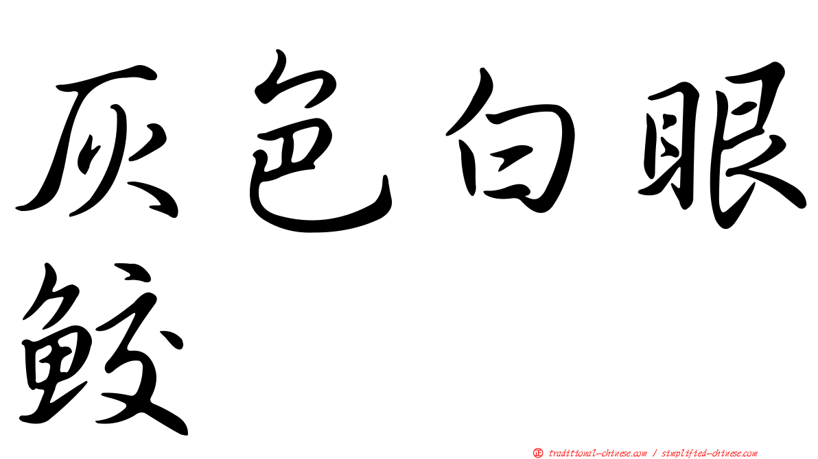 灰色白眼鮫