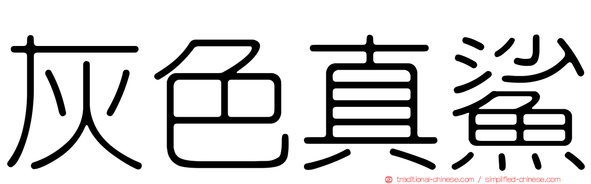 灰色真鯊