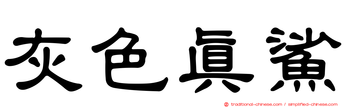灰色真鯊