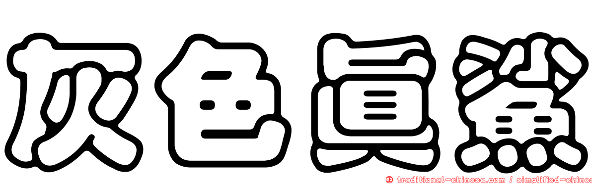 灰色真鯊