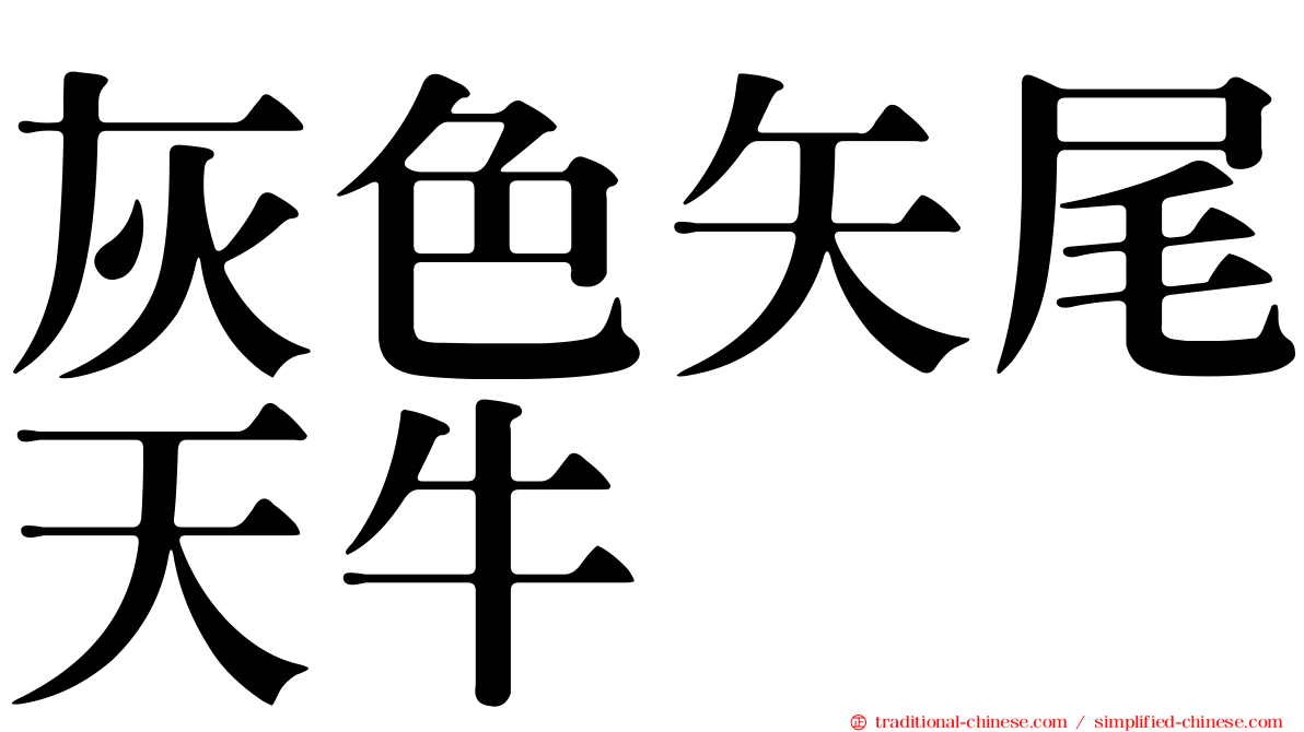 灰色矢尾天牛