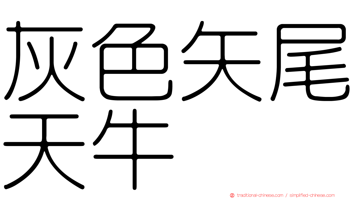 灰色矢尾天牛