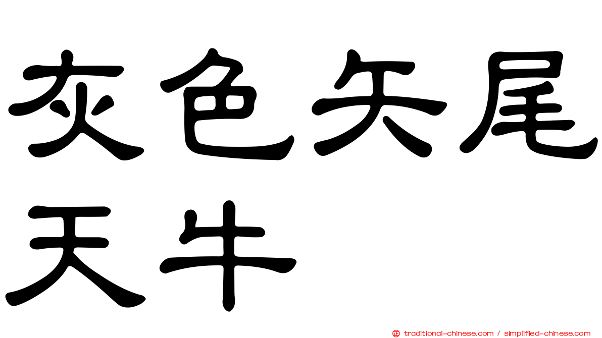 灰色矢尾天牛