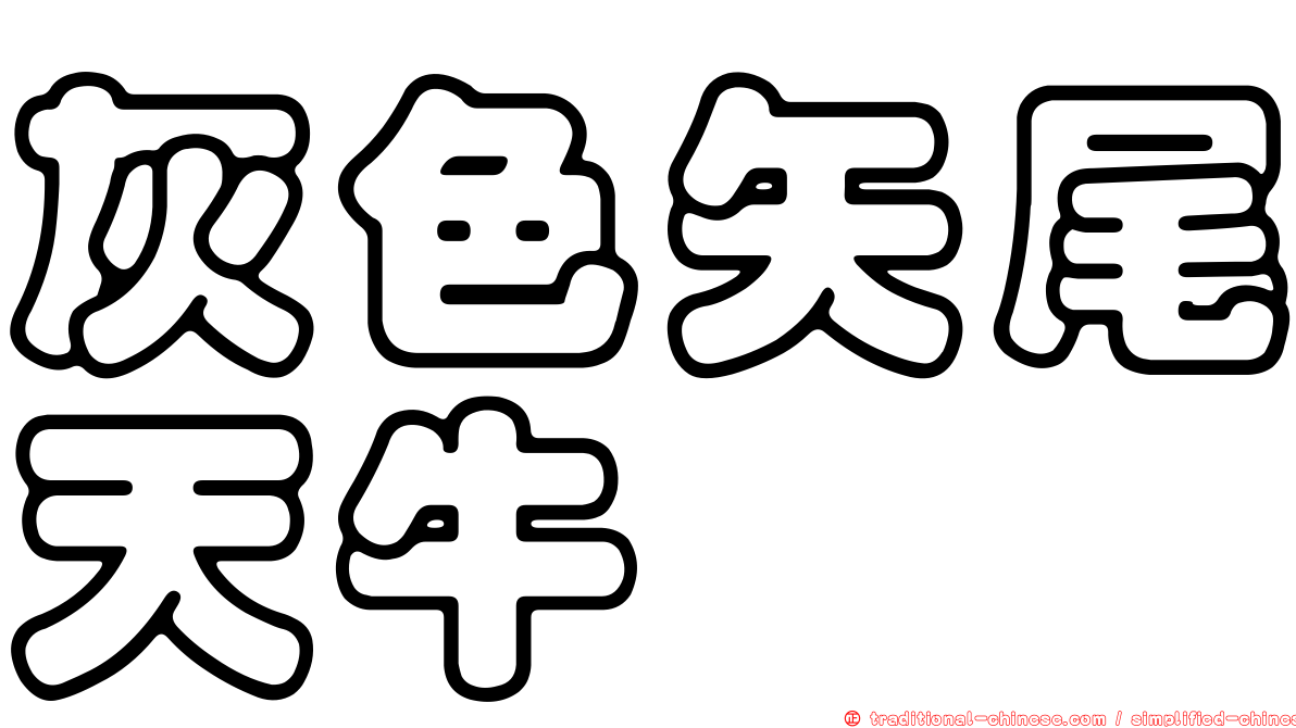 灰色矢尾天牛