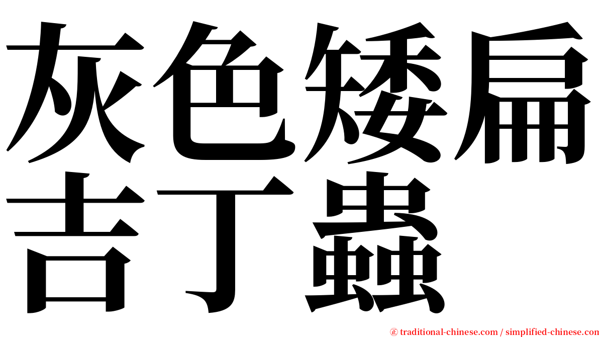 灰色矮扁吉丁蟲 serif font