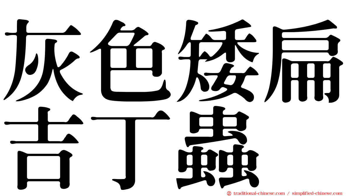 灰色矮扁吉丁蟲