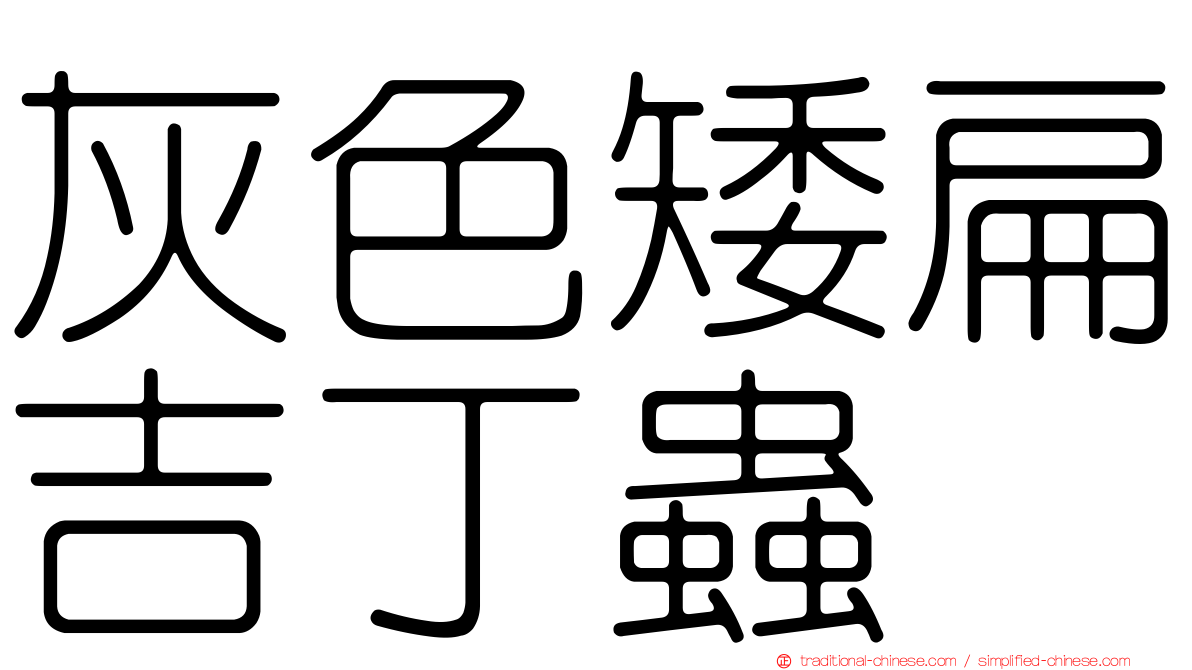 灰色矮扁吉丁蟲