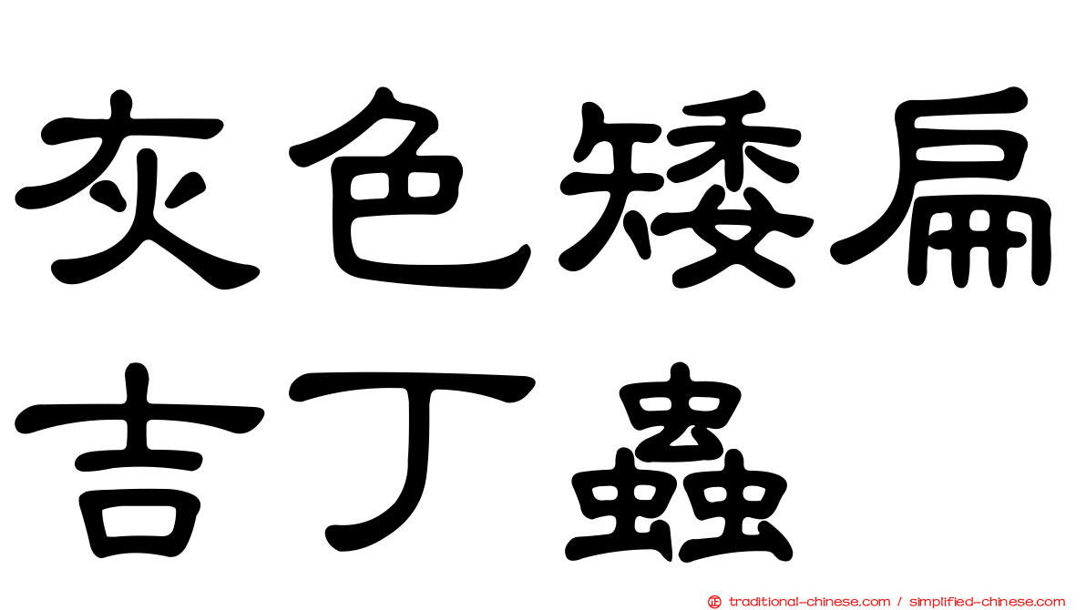 灰色矮扁吉丁蟲