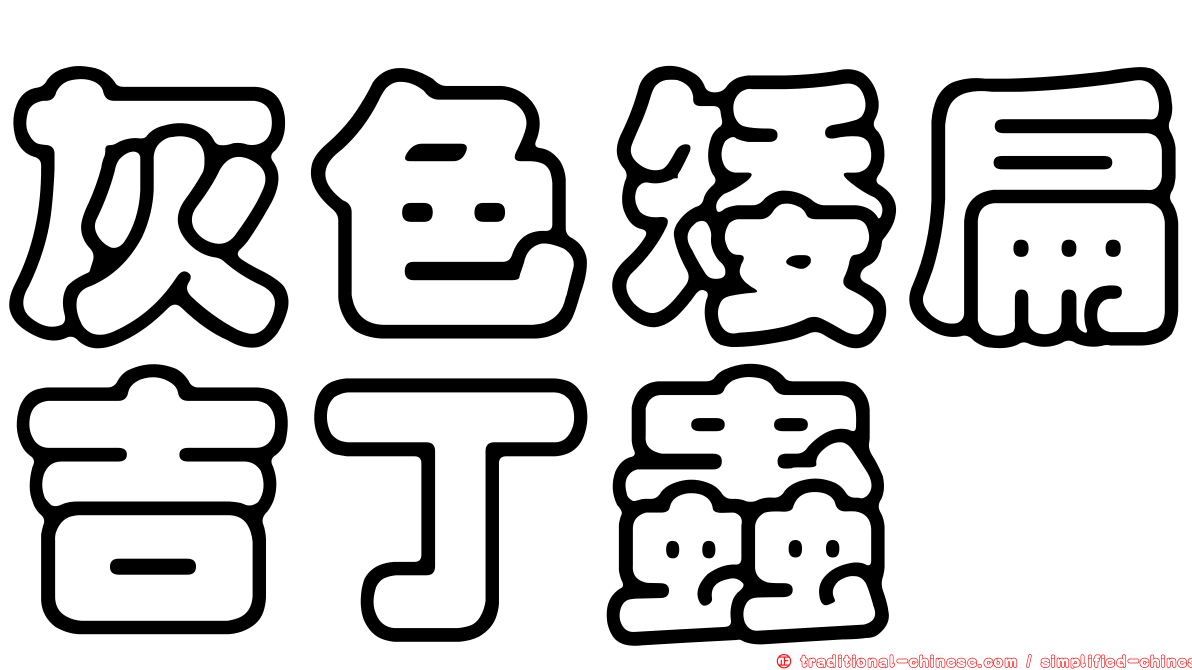 灰色矮扁吉丁蟲