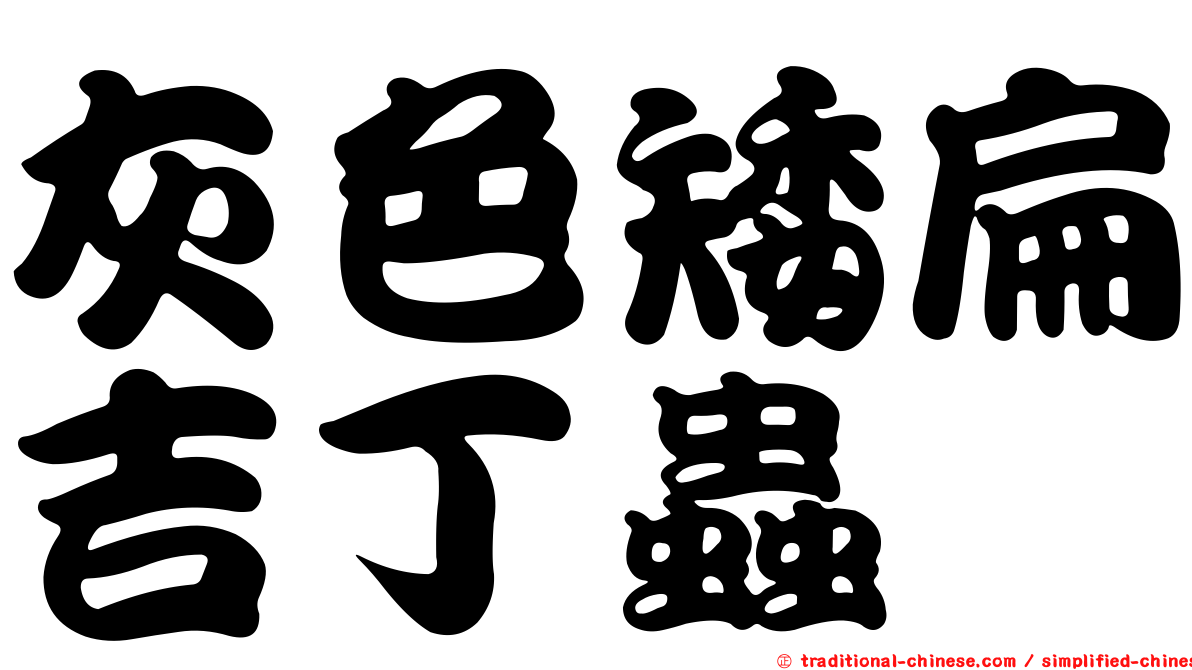 灰色矮扁吉丁蟲