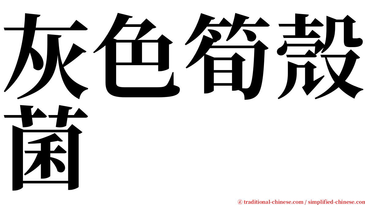 灰色筍殼菌 serif font