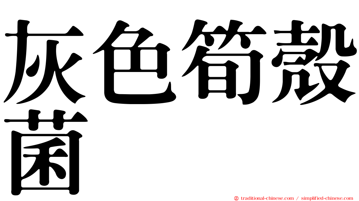 灰色筍殼菌