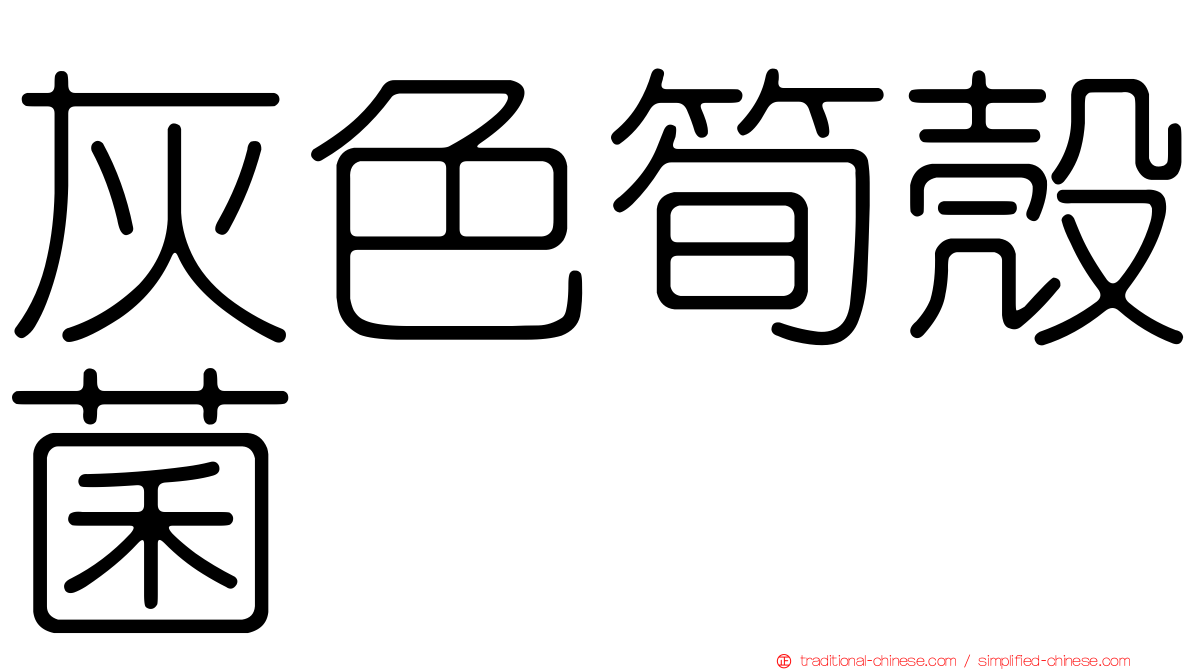 灰色筍殼菌