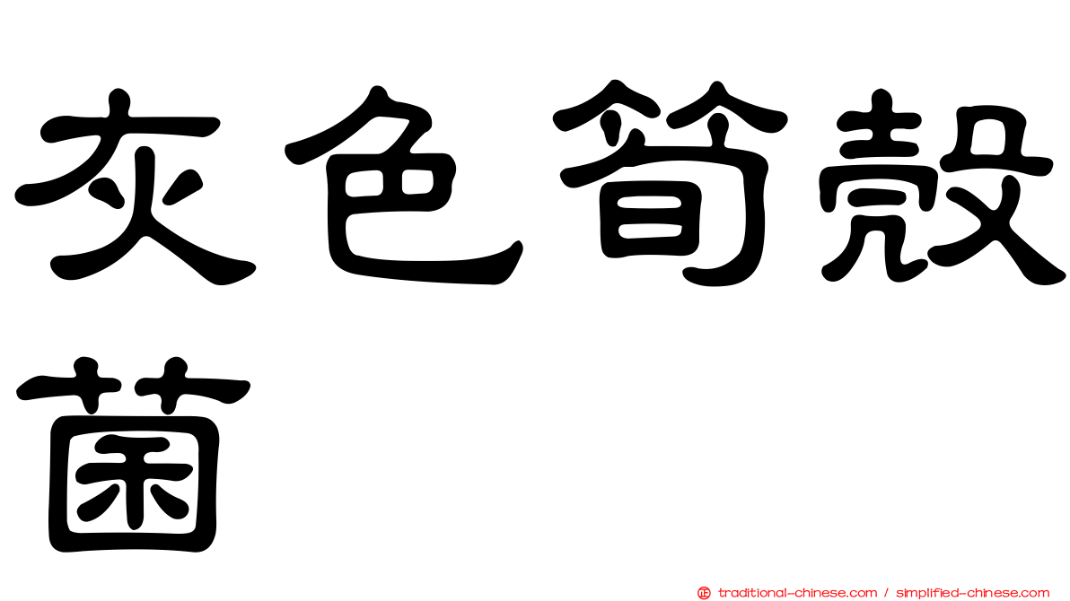 灰色筍殼菌