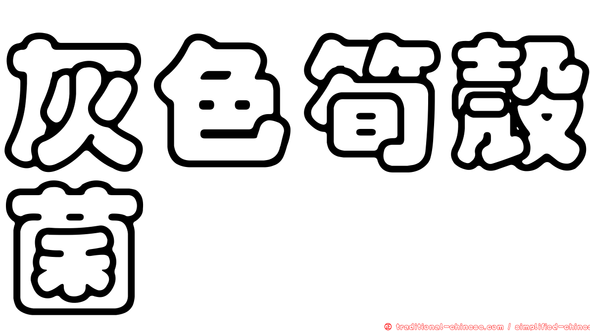 灰色筍殼菌
