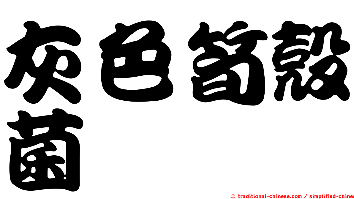灰色筍殼菌
