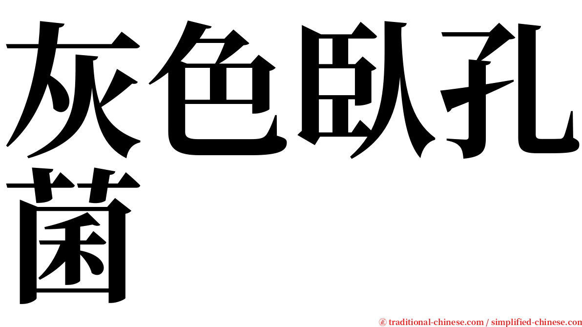 灰色臥孔菌 serif font