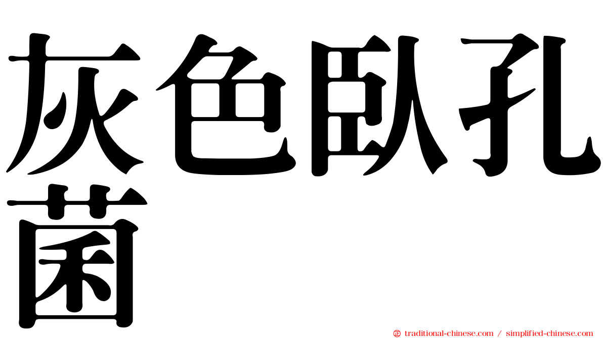 灰色臥孔菌
