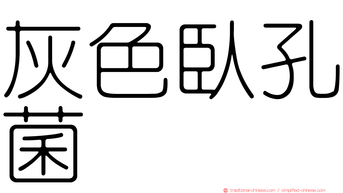 灰色臥孔菌