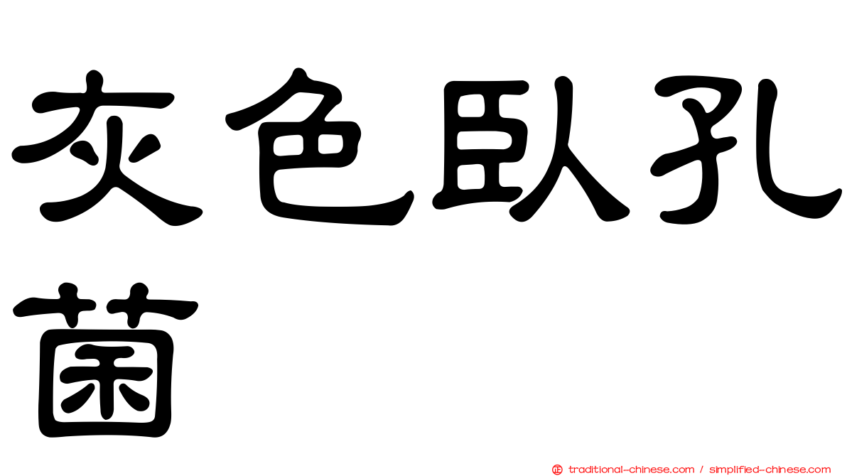 灰色臥孔菌