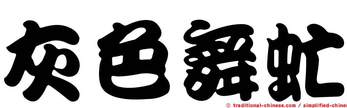 灰色舞虻
