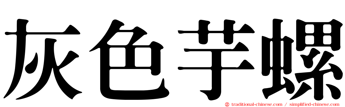 灰色芋螺
