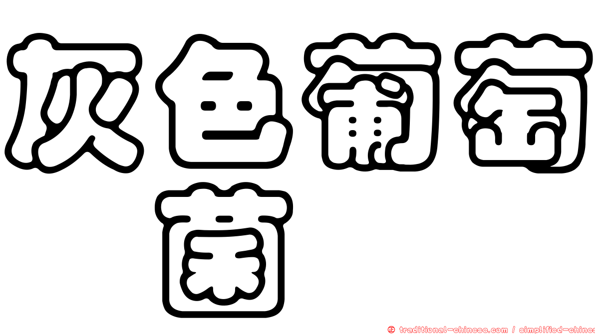 灰色葡萄孢菌