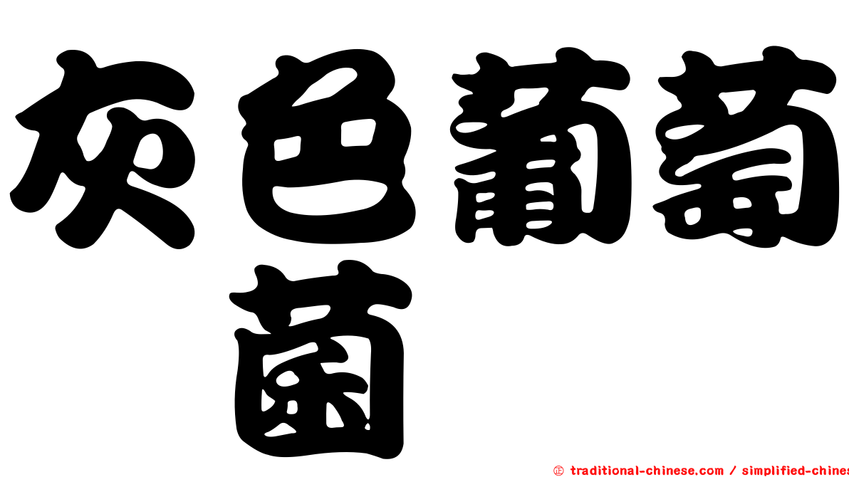 灰色葡萄孢菌